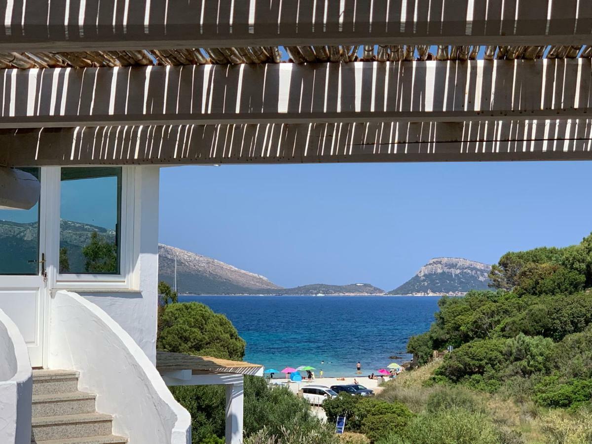 Villa Aranzos Golfo Aranci Ngoại thất bức ảnh
